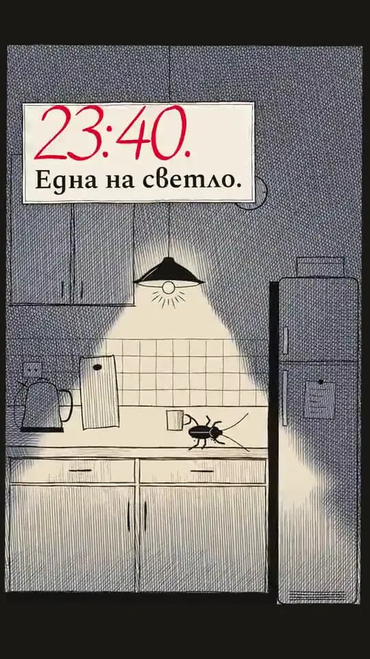 Биогард, ДДД услуги
